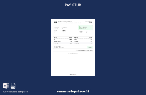 stile verificato Navicrow Holidays Pvt. Modello di riepilogo degli utili di Ltd.